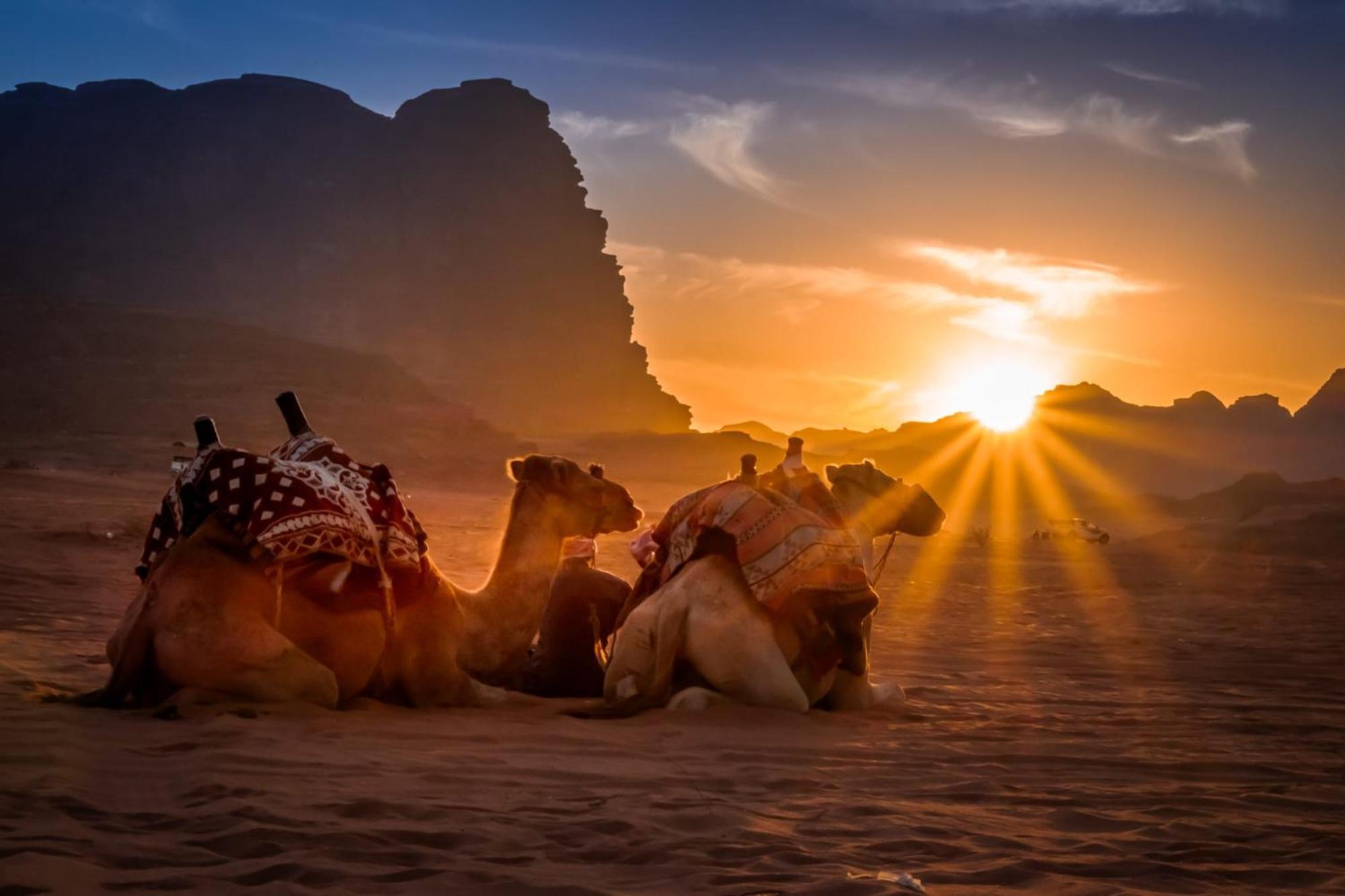 Wadi Rum Mundo Camp 亚喀巴 外观 照片